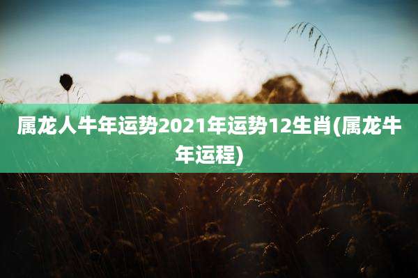 属龙人牛年运势2021年运势12生肖(属龙牛年运程)