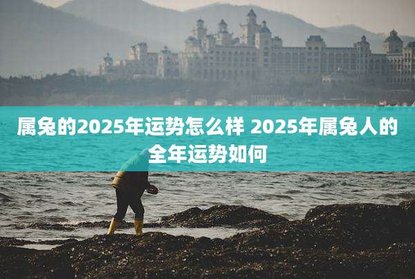 属兔的2025年运势怎么样 2025年属兔人的全年运势如何
