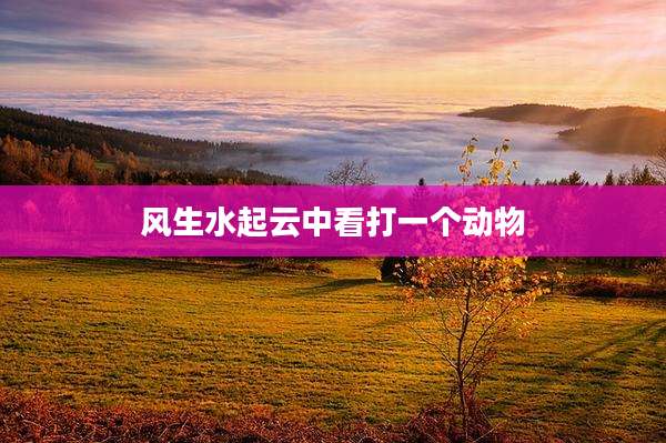 风生水起云中看打一个动物