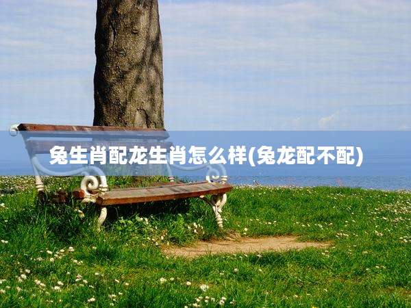兔生肖配龙生肖怎么样(兔龙配不配)