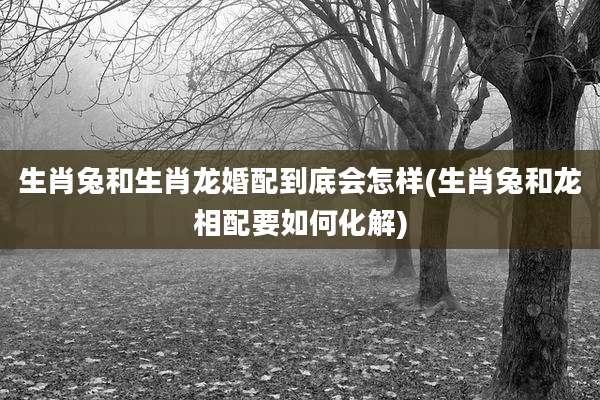 生肖兔和生肖龙婚配到底会怎样(生肖兔和龙相配要如何化解)