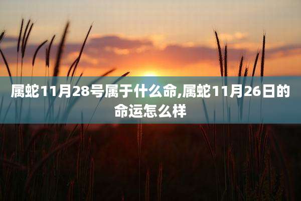 属蛇11月28号属于什么命,属蛇11月26日的命运怎么样