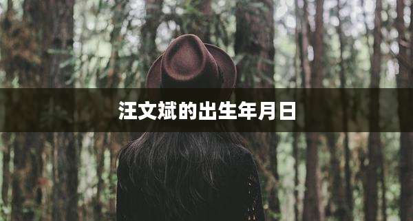 汪文斌的出生年月日
