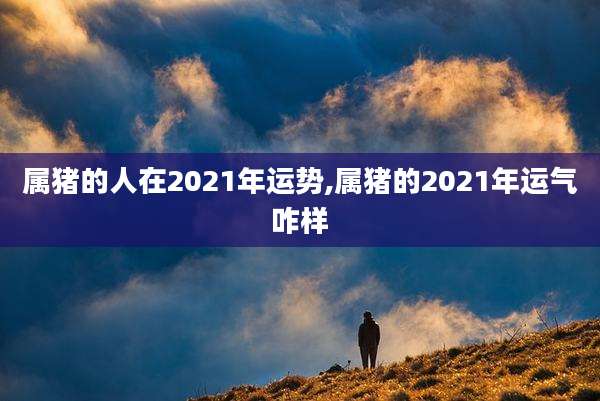 属猪的人在2021年运势,属猪的2021年运气咋样
