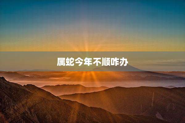 属蛇今年不顺咋办