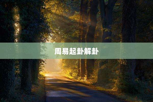 周易起卦解卦