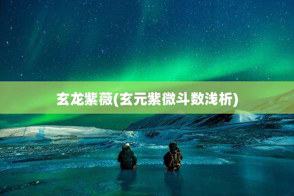 玄龙紫薇(玄元紫微斗数浅析)