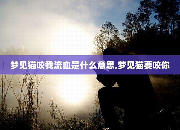 梦见猫咬我流血是什么意思,梦见猫要咬你