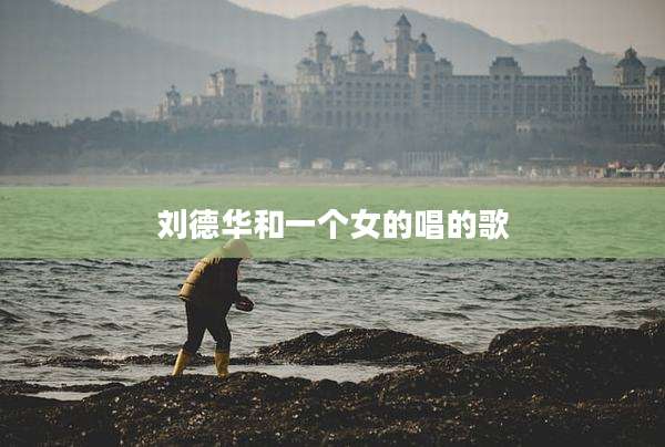 刘德华和一个女的唱的歌
