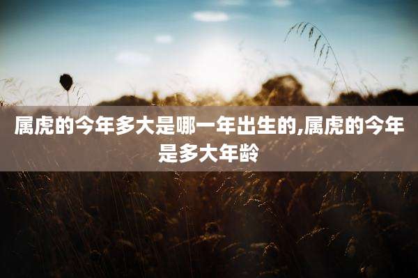 属虎的今年多大是哪一年出生的,属虎的今年是多大年龄