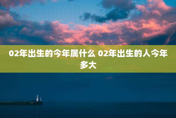 02年出生的今年属什么 02年出生的人今年多大