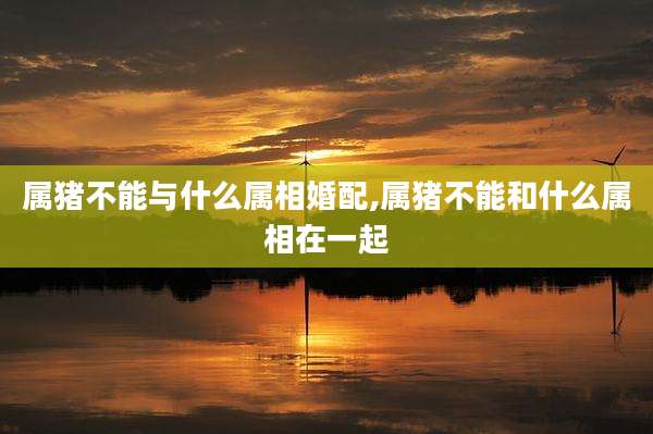 属猪不能与什么属相婚配,属猪不能和什么属相在一起
