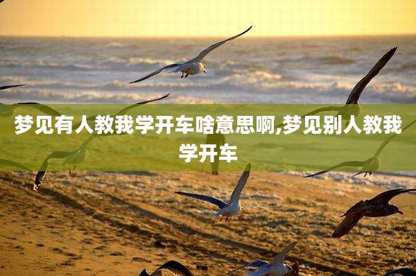 梦见有人教我学开车啥意思啊,梦见别人教我学开车