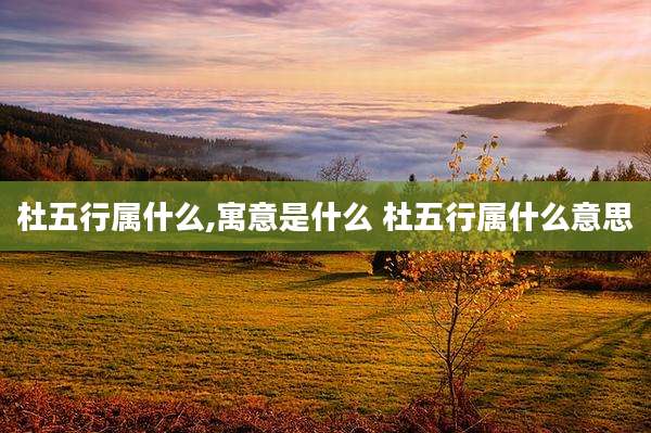 杜五行属什么,寓意是什么 杜五行属什么意思