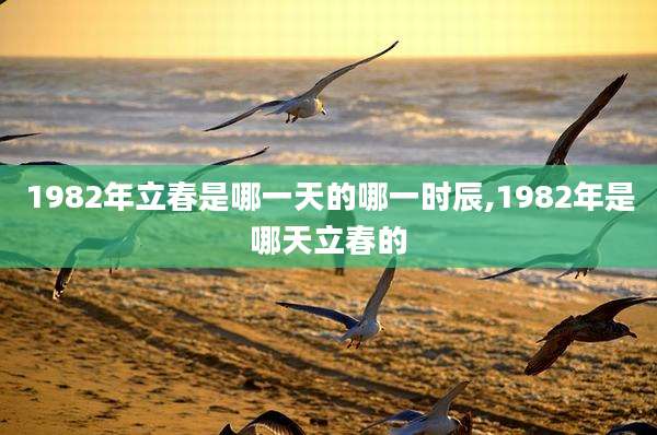 1982年立春是哪一天的哪一时辰,1982年是哪天立春的