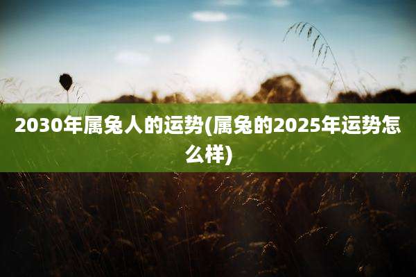 2030年属兔人的运势(属兔的2025年运势怎么样)
