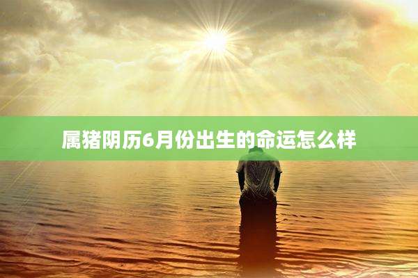 属猪阴历6月份出生的命运怎么样