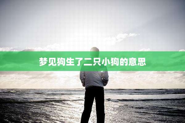 梦见狗生了二只小狗的意思