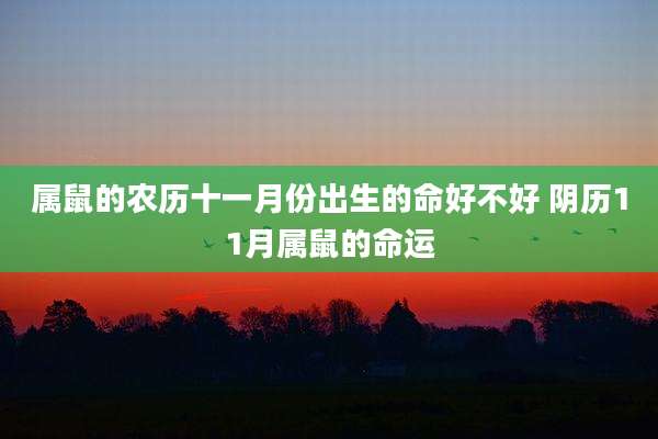 属鼠的农历十一月份出生的命好不好 阴历11月属鼠的命运