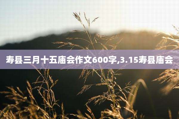 寿县三月十五庙会作文600字,3.15寿县庙会