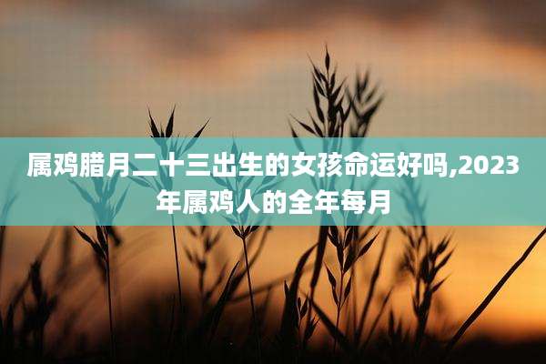 属鸡腊月二十三出生的女孩命运好吗,2023年属鸡人的全年每月