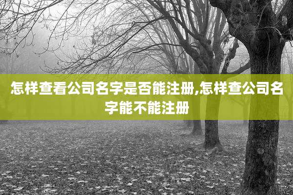 怎样查看公司名字是否能注册,怎样查公司名字能不能注册