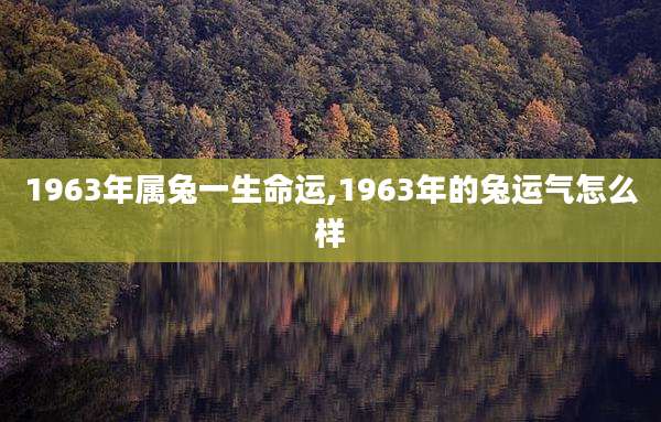 1963年属兔一生命运,1963年的兔运气怎么样