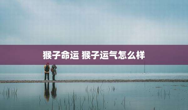 猴子命运 猴子运气怎么样