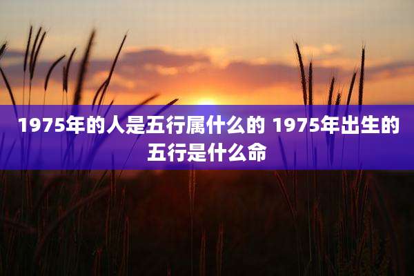 1975年的人是五行属什么的 1975年出生的五行是什么命