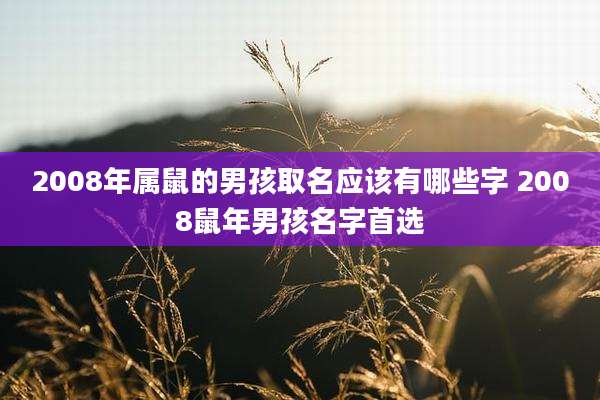 2008年属鼠的男孩取名应该有哪些字 2008鼠年男孩名字首选