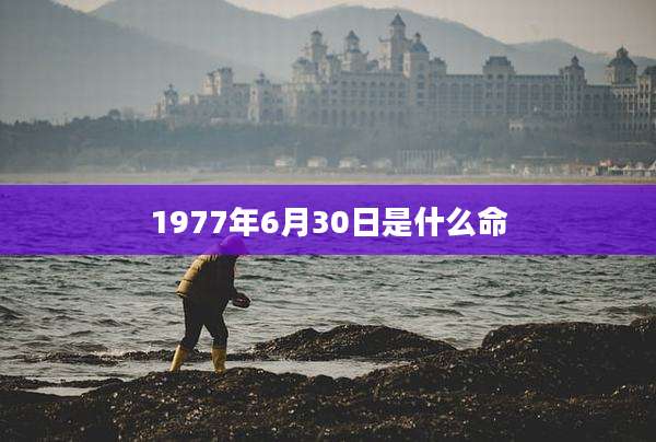 1977年6月30日是什么命