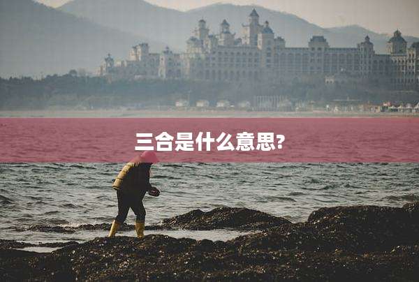 三合是什么意思?