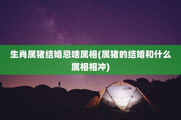 生肖属猪结婚忌啥属相(属猪的结婚和什么属相相冲)