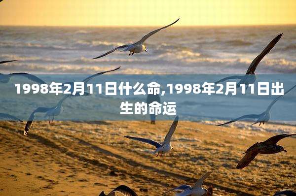 1998年2月11日什么命,1998年2月11日出生的命运