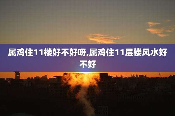 属鸡住11楼好不好呀,属鸡住11层楼风水好不好