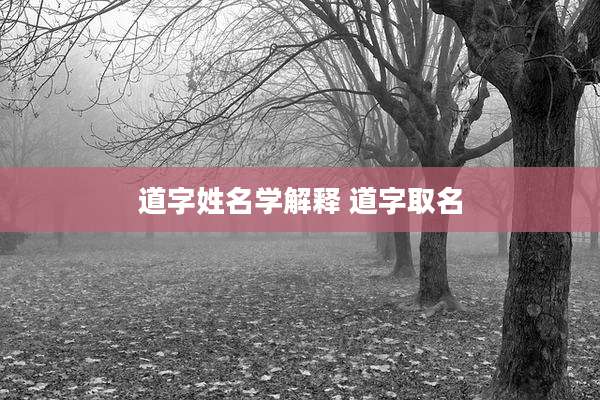 道字姓名学解释 道字取名