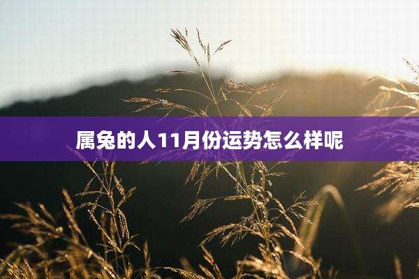 属兔的人11月份运势怎么样呢