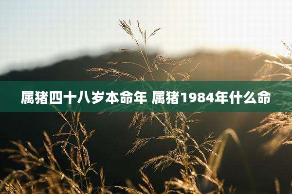 属猪四十八岁本命年 属猪1984年什么命
