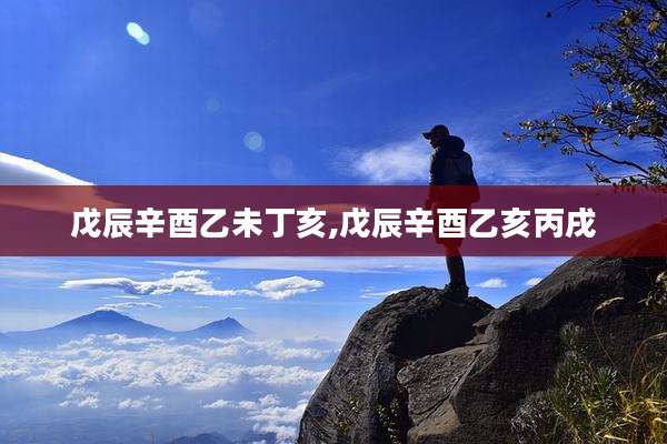 戊辰辛酉乙未丁亥,戊辰辛酉乙亥丙戌
