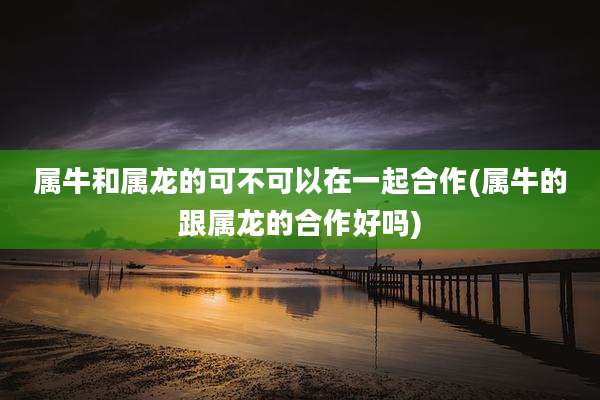 属牛和属龙的可不可以在一起合作(属牛的跟属龙的合作好吗)