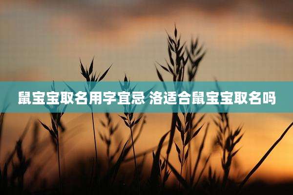 鼠宝宝取名用字宜忌 洛适合鼠宝宝取名吗