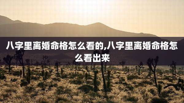 八字里离婚命格怎么看的,八字里离婚命格怎么看出来