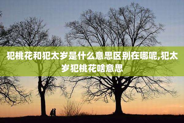 犯桃花和犯太岁是什么意思区别在哪呢,犯太岁犯桃花啥意思