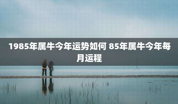 1985年属牛今年运势如何 85年属牛今年每月运程