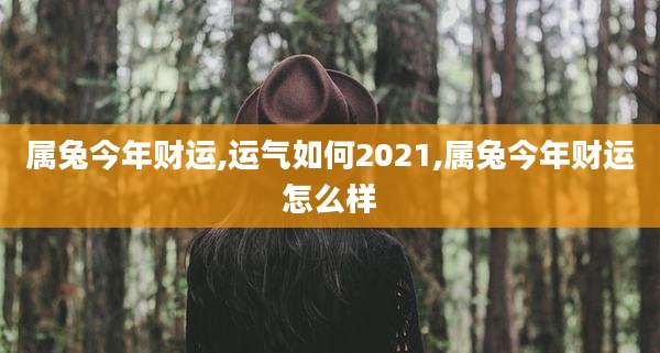 属兔今年财运,运气如何2021,属兔今年财运怎么样