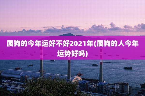属狗的今年运好不好2021年(属狗的人今年运势好吗)