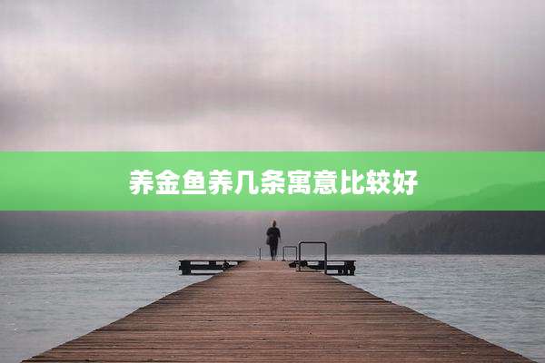 养金鱼养几条寓意比较好