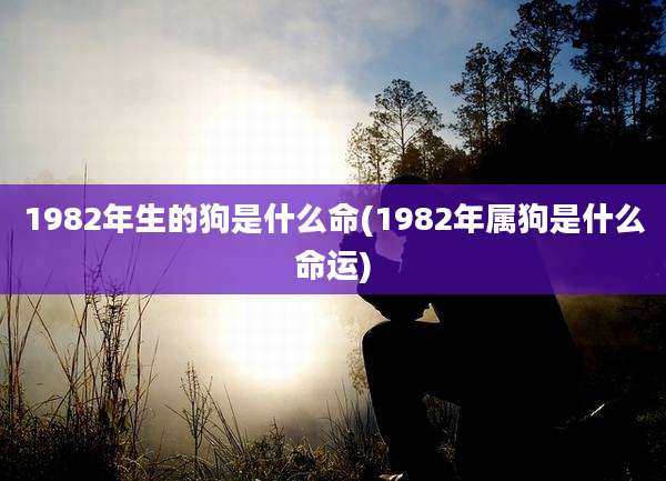 1982年生的狗是什么命(1982年属狗是什么命运)