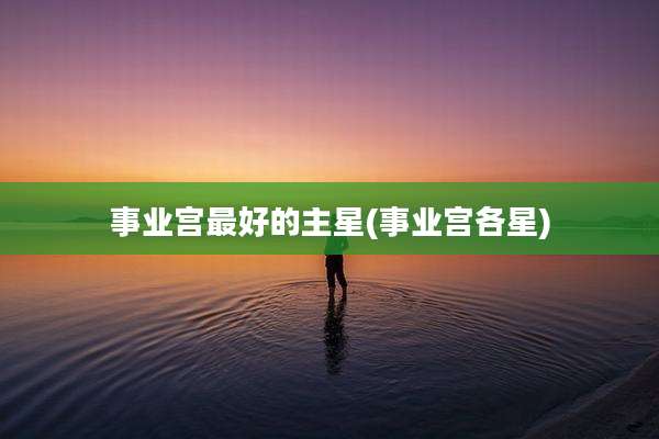 事业宫最好的主星(事业宫各星)