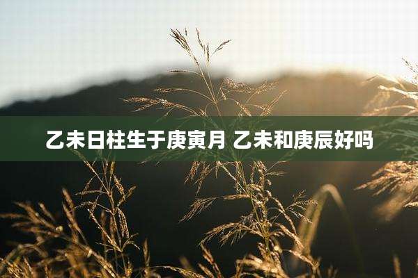 乙未日柱生于庚寅月 乙未和庚辰好吗